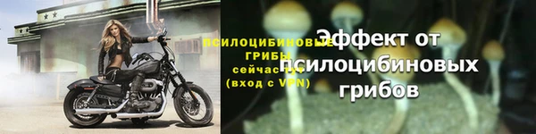 меф Осинники