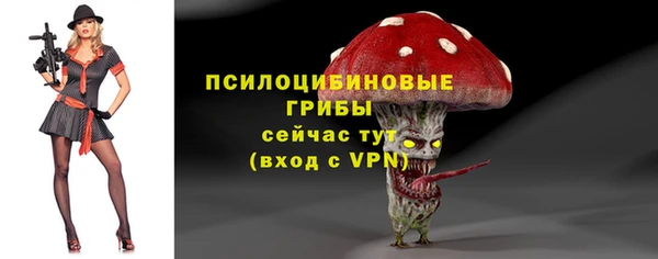 бутират Няндома
