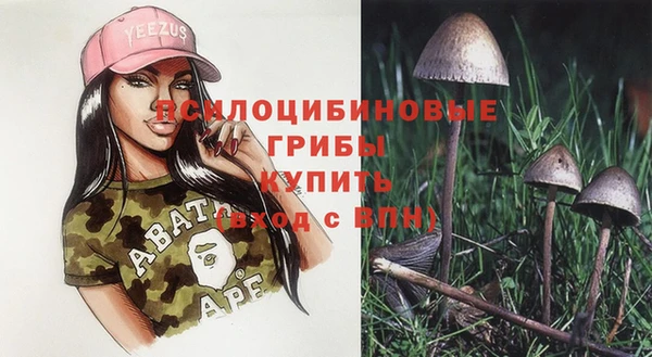 хмурый Пестово