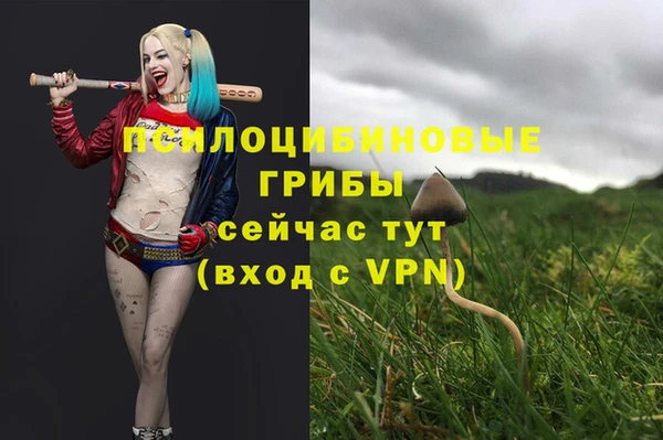 a pvp Нягань