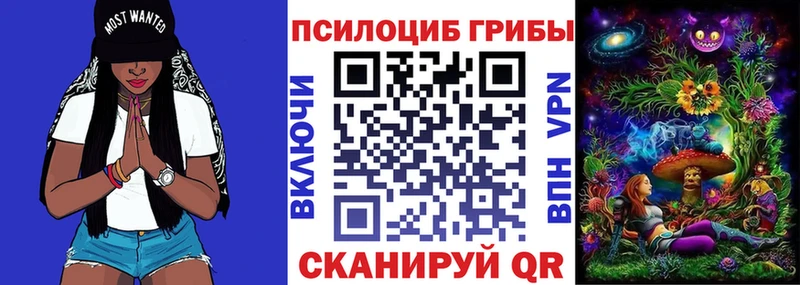 Псилоцибиновые грибы Psilocybe наркотики Миллерово