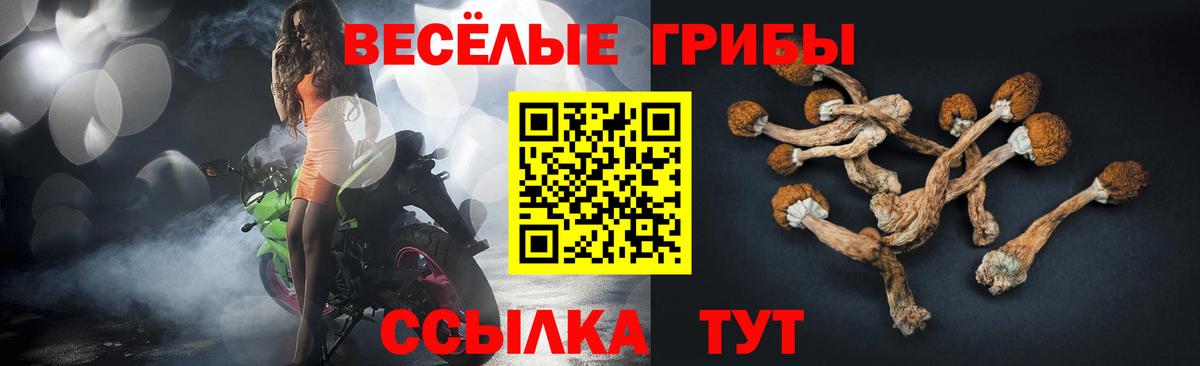 купить наркотик  Вход с VPN  Миллерово  Псилоцибиновые грибы Psilocybe 